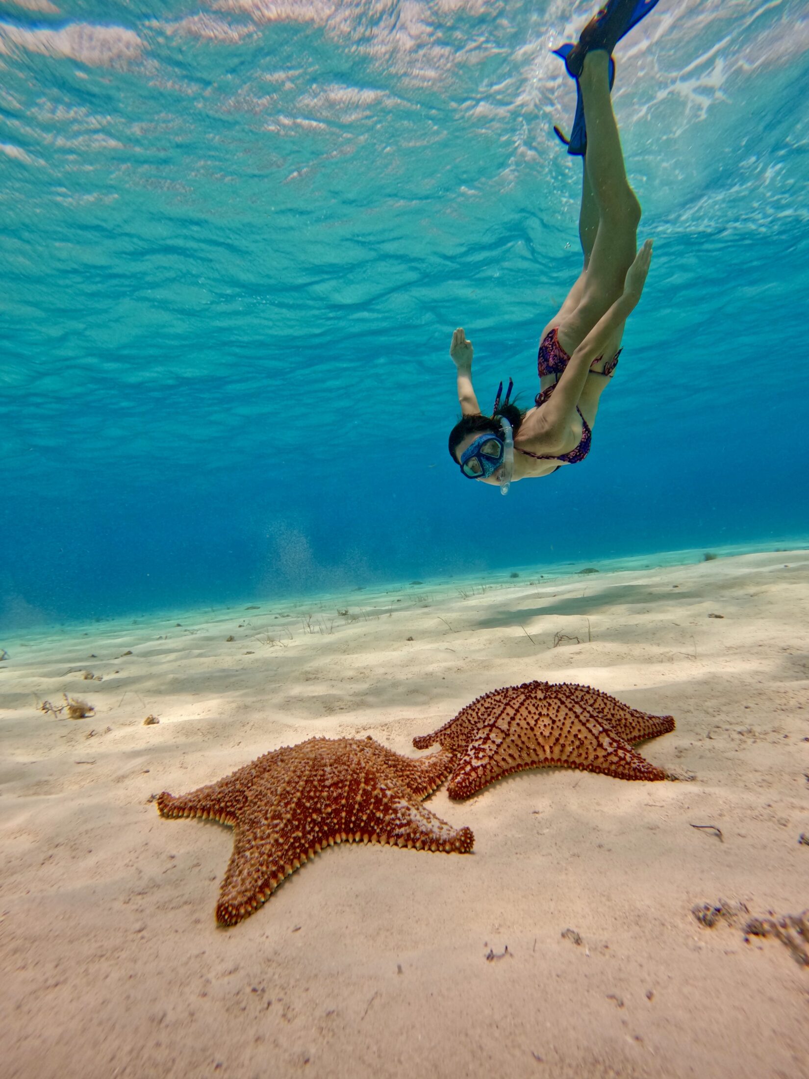 DCIM100GOPROGOPR0937.JPG