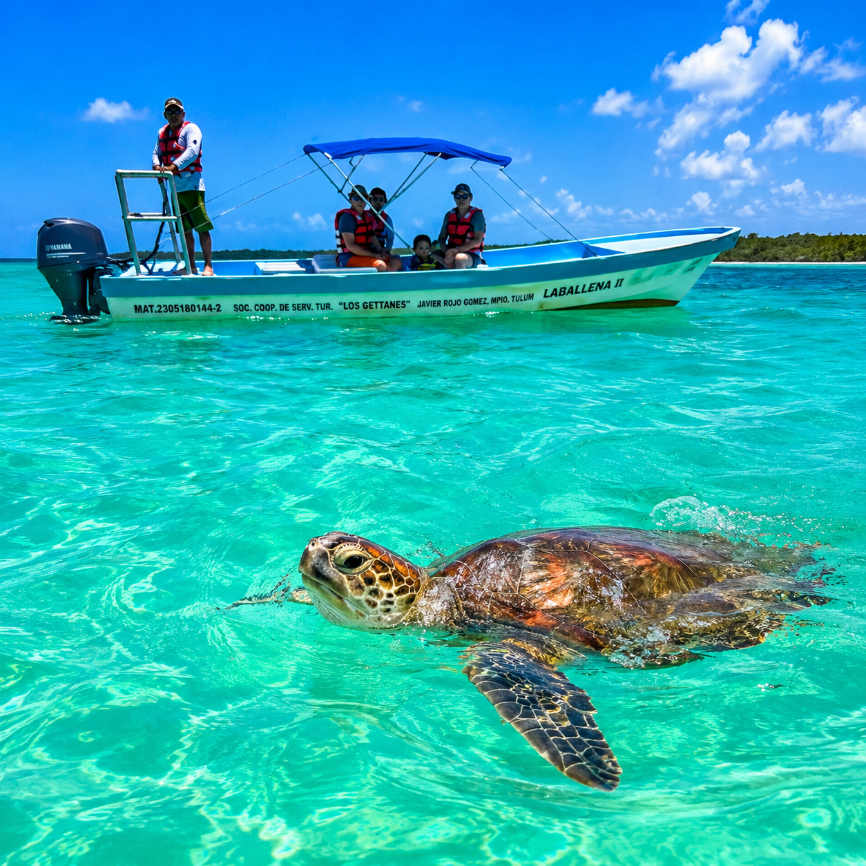 Sian-kaan-tortue-photo
