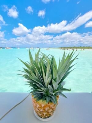 Bacalar-lagune-ananas-sept-couleurs-image