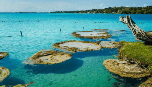 canal-pirates-lagune-de-Bacalar-image