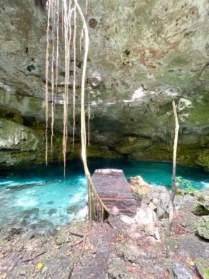 Cenote-jungle-image