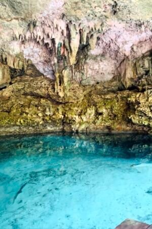 Jungle-cenote-image