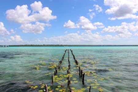 lagune-Bacalar-eau-sept-couleurs-image