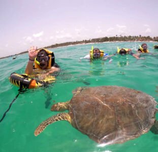 Snorkeling-tortues-Akumal-lagune-image