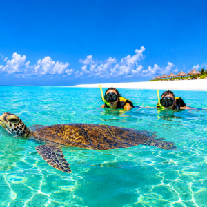 Excursion à Akumal : Nage avec les Tortues et Snorkeling
