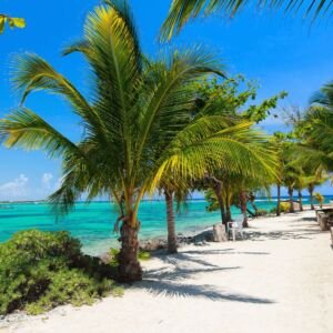 acumal plage mer image
