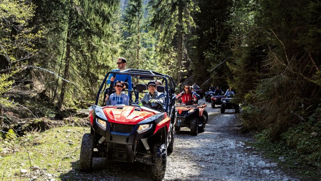 buggy jungle sport image