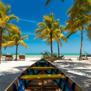 holbox plage mer image
