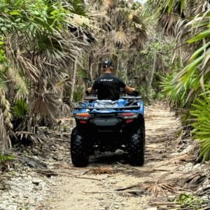 quad extreme jungle sports image