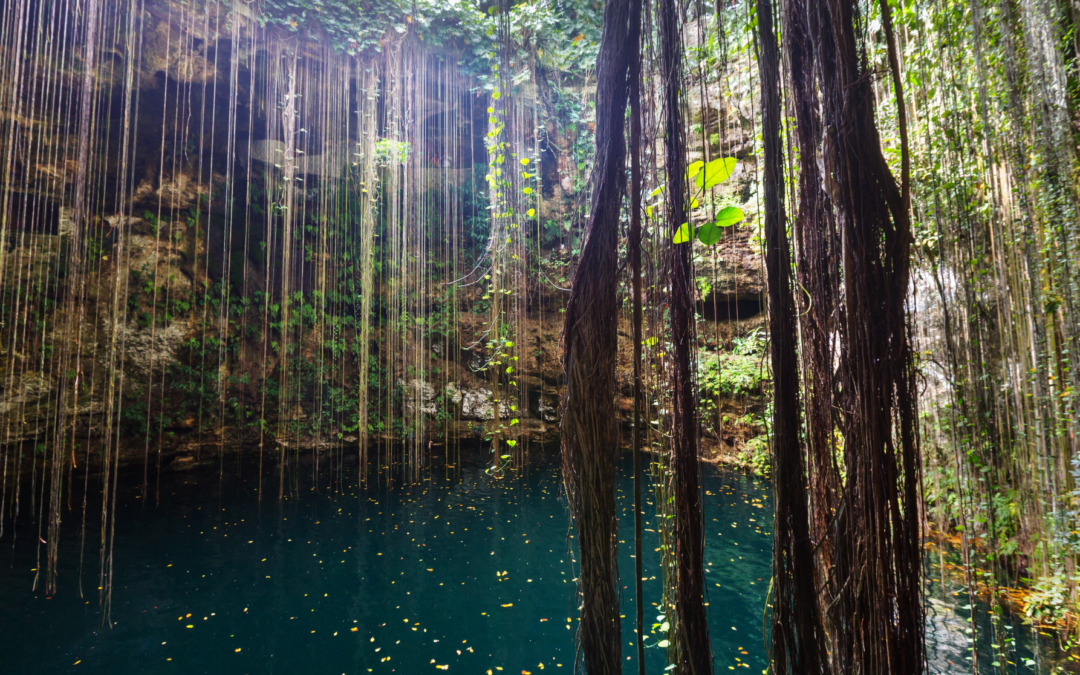 Guide des 10 Meilleurs Cenotes et Lagunes à Visiter dans le Quintana Roo