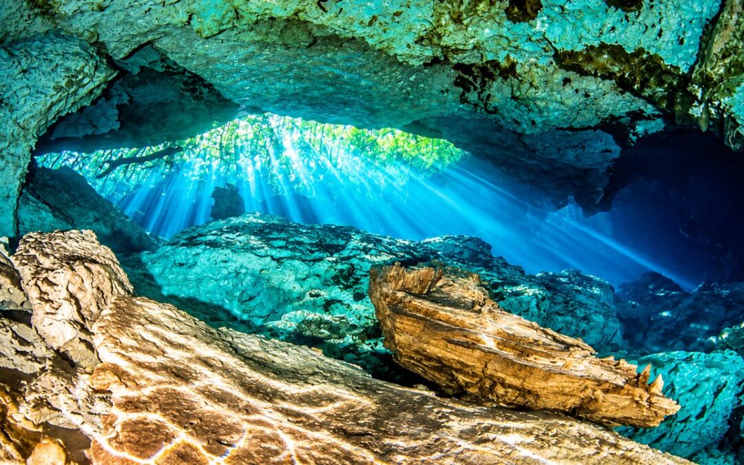 Les 22 plus beaux cénotes autour de Playa del Carmen : notre sélection 2026