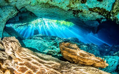 Les 22 plus beaux cénotes autour de Playa del Carmen : notre sélection 2026