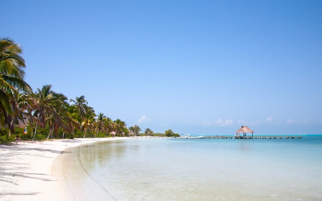 Isla Contoy | Guide Ultime 2025 & Conseils