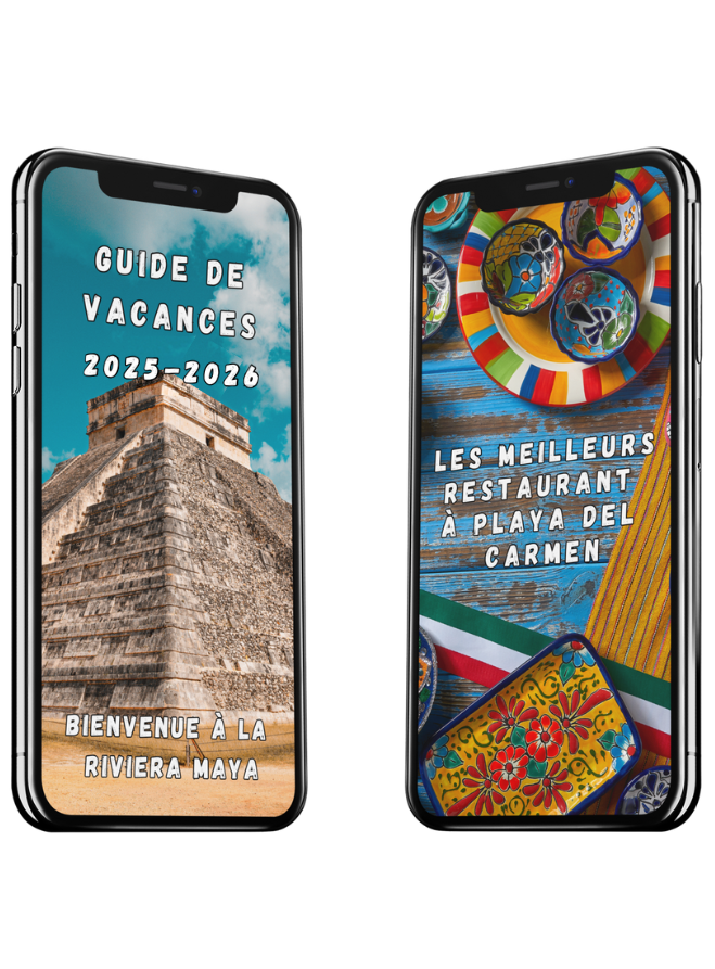 image guide voyage popup