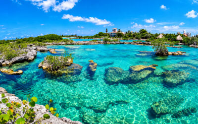 Caleta Yal-Ku à Akumal : votre guide ultime pour 2026