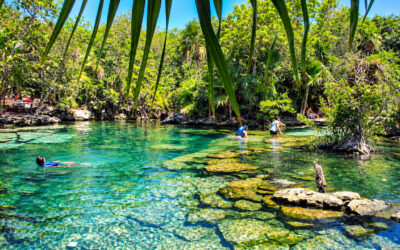 Cenote Azul : prix, horaires et tous nos conseils pour 2026