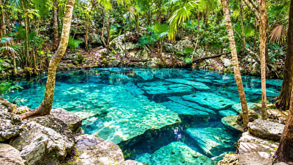 llustration du Cenote Azul près de Playa del Carmen, avec une eau turquoise cristalline, des rochers calcaires et une végétation tropicale luxuriante.