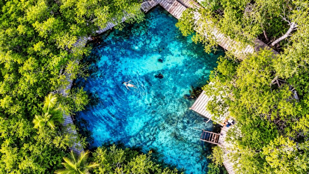Vue aérienne d'un cénote aux eaux turquoise cristallines, entouré de jungle tropicale sur la Riviera Maya au Mexique.