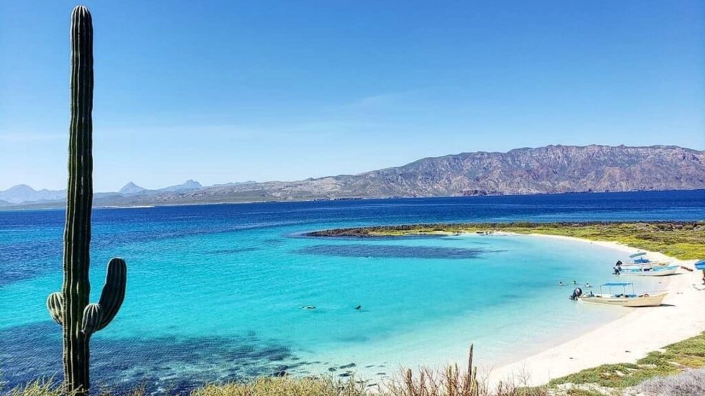 Plage paradisiaque de Basse-Californie au Mexique, avec cactus géant, sable blanc, eau turquoise cristalline et bateaux près du rivage.
