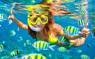 Les 8 meilleures excursions de snorkeling à Playa del Carmen : notre sélection 2026